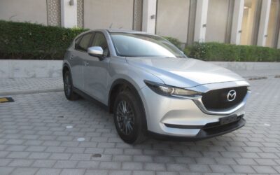 Whatsapp Image 2024 01 30 At 4.33.47 Pm (2)