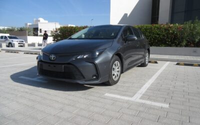 Toyota Corolla 2020 Gray (5)