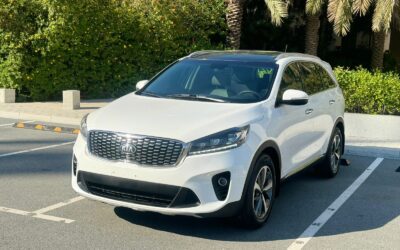 Sorento 2019 (2)